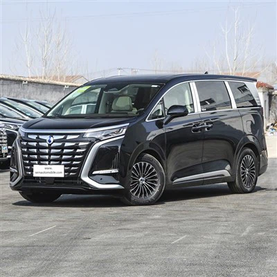 Byd   Denza   D9   MPV   2024