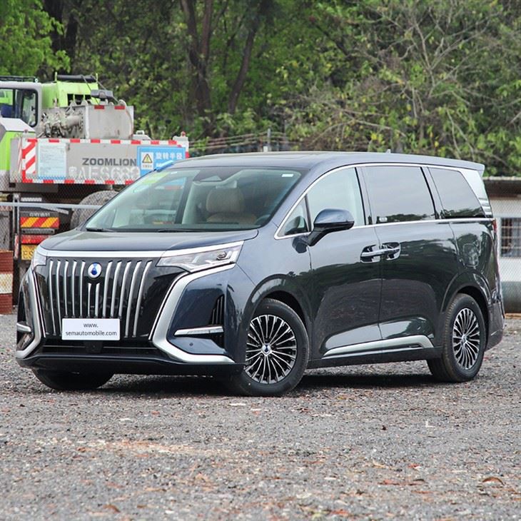 Byd Denza D9 EV MPV 